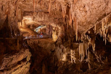Экскурсия в Постойнскую пещеру и Предъямский замок из Копер